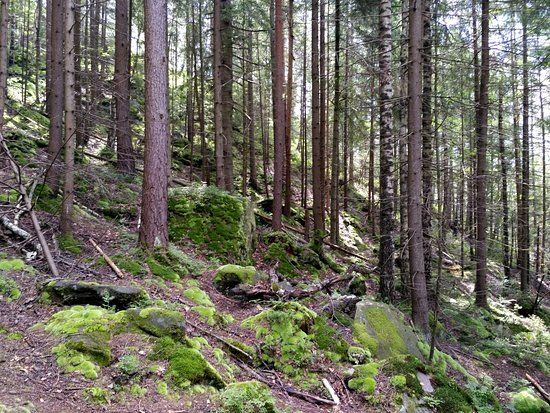 Dovbush rocks